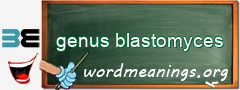 WordMeaning blackboard for genus blastomyces